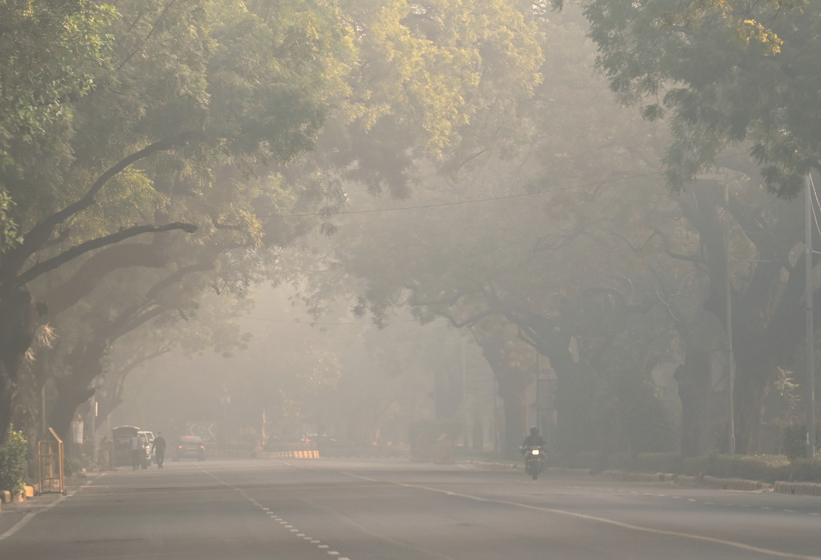 A motorcycle travels down a wide boulevard beneath trees on a very smoggy morning.