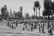 A potter's field in Los Angeles