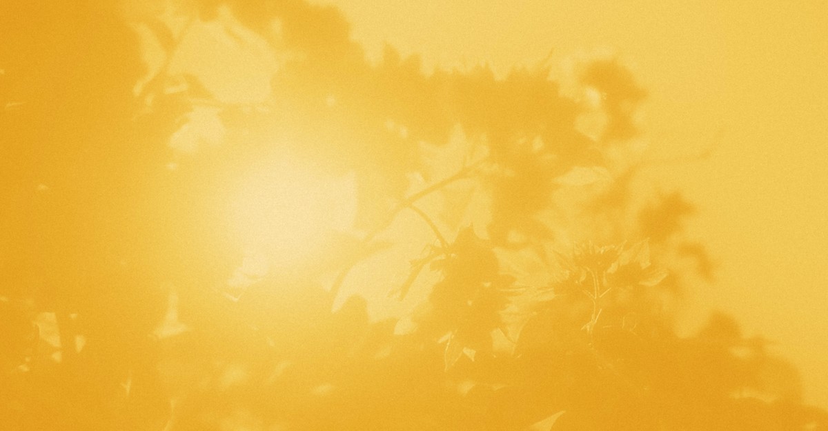cdn.theatlantic.com image