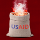Illustration of a sack labeled "USAID" on fire against a red background
