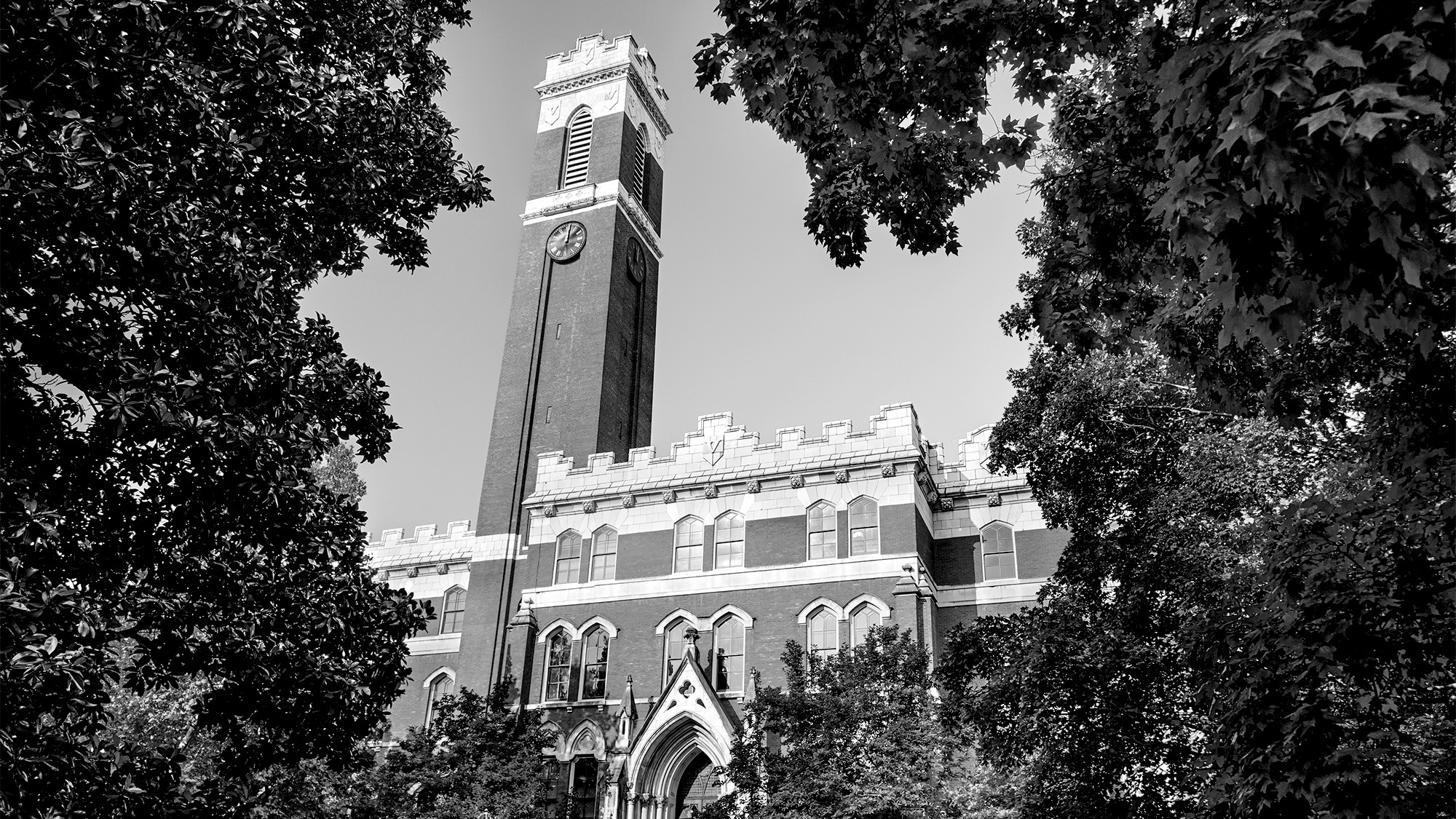 Higher Ed Is Very Sorry