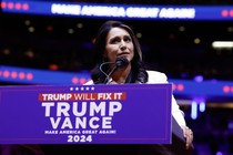 Tulsi Gabbard