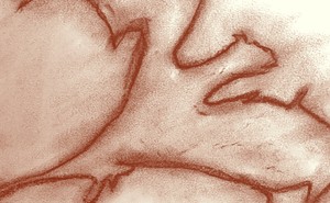 illustration of reddish sketched outline of dragon in flight
