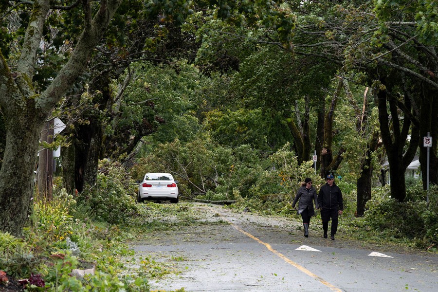 Two people walk on a street filled with branches and fallen trees.