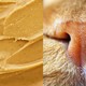 A photo of peanut butter next to a photo of a cat's nose