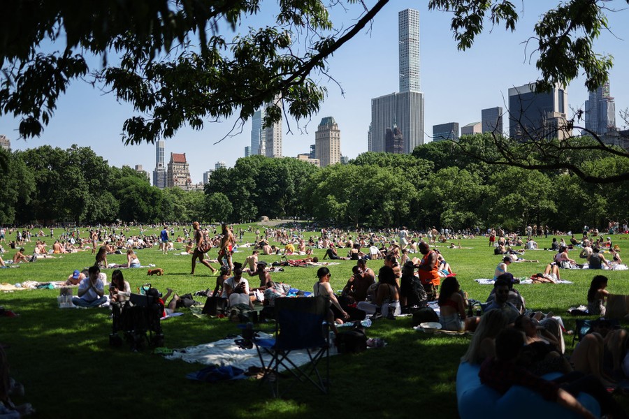 Central Park filled with sunbathers and picnickers lying on blankets