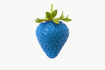 A blue strawberry