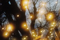lights inside a building shine through a window, on which a tree and blue sky are reflected
