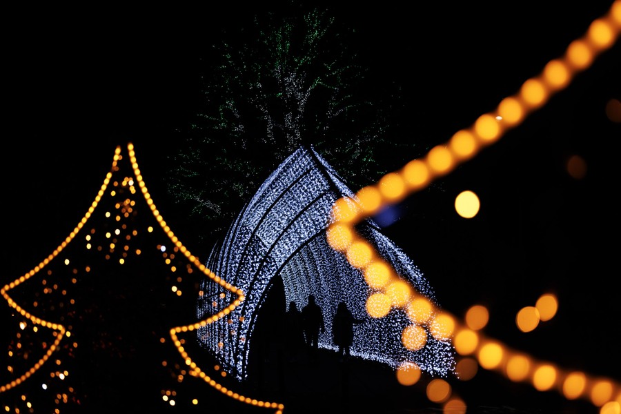 People walk along a garden path lined with illuminated decorations.