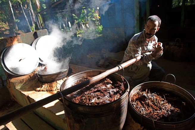 A man moves a cauldron used for brewing a psychedelic tea.