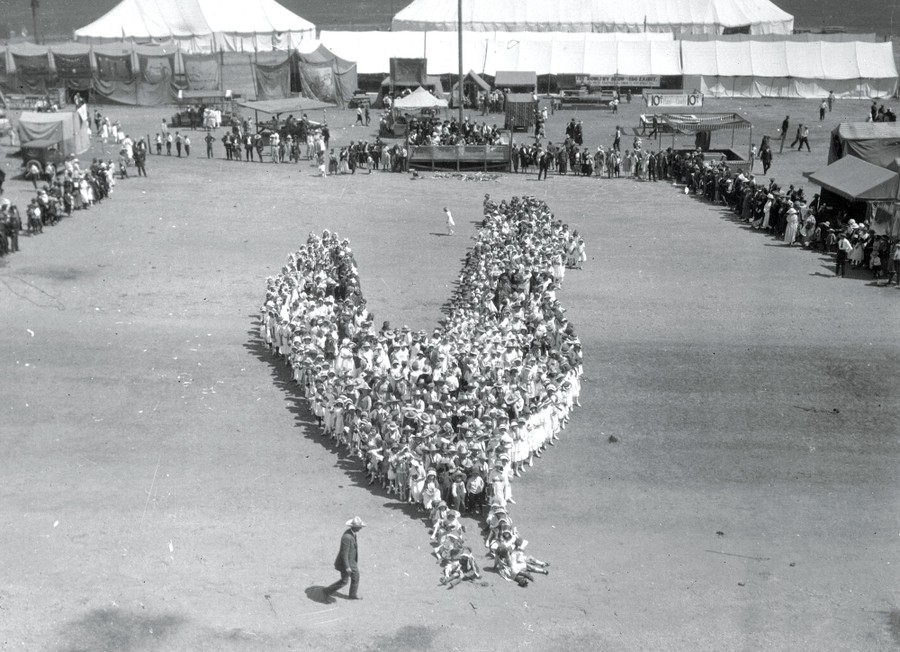 Hundreds of schoolchildren gather into a tight crowd in a field, forming the shape of a large chicken.