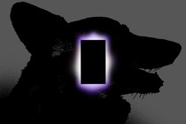 An illustration of a dog's silhouette with a glowing black rectangle in front of it.