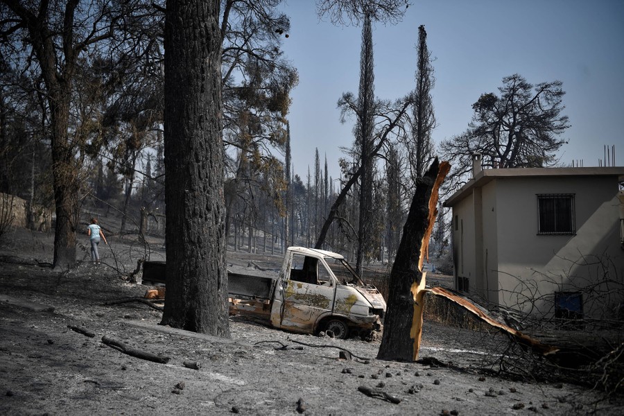 The ruins of a truck and house are seen among burned trees.