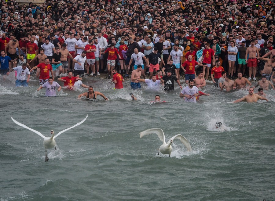 Two swans take flight as hundreds of people behind them make their way into a lake.