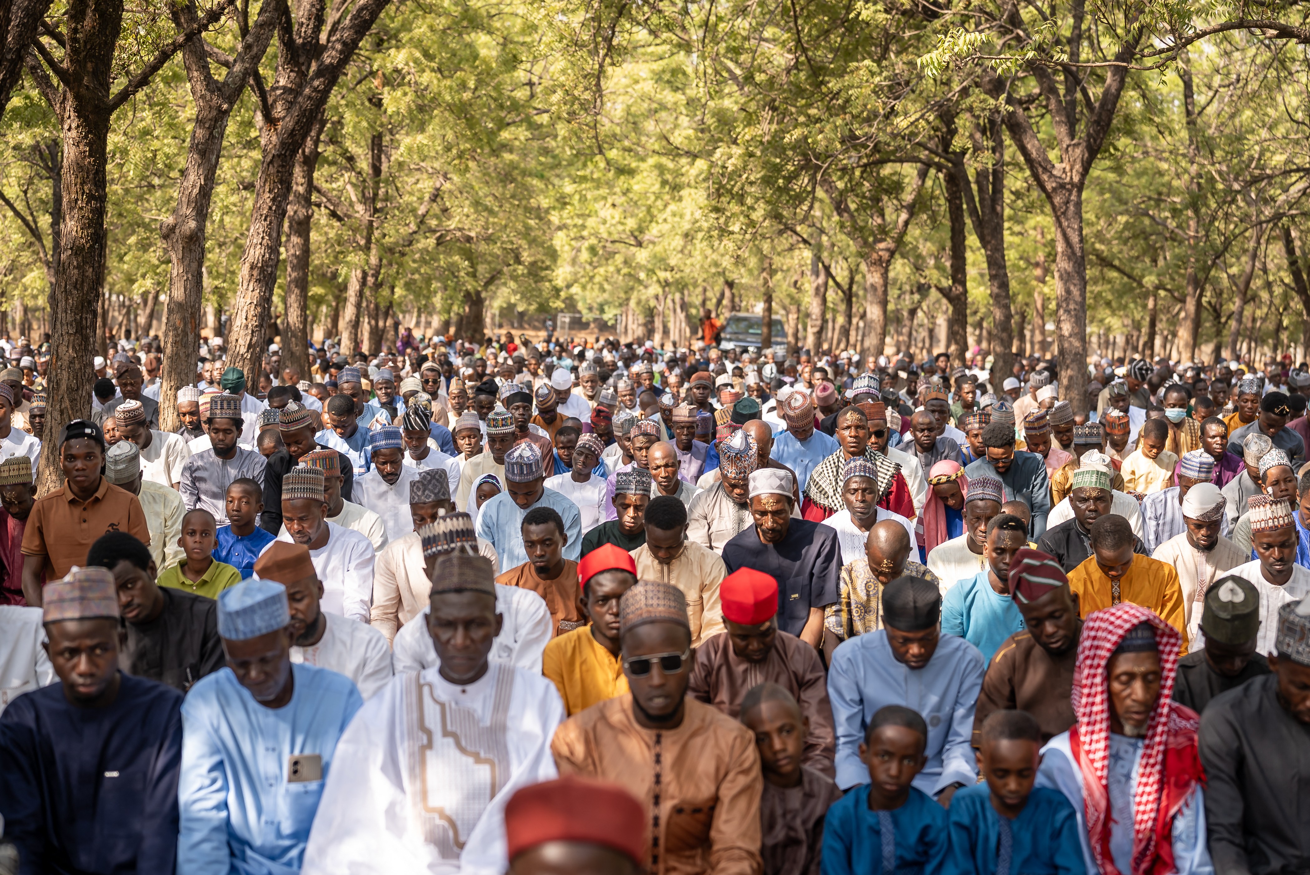 A large group of people gather to pray beneath tall trees.