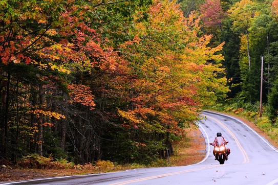 A motorcyclist rides on a two-lane highway past trees with fall colors.