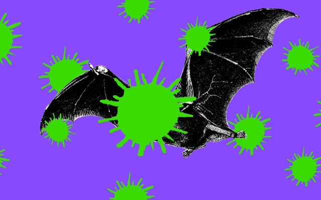An illustration of a bat surrounded by giant coronaviruses