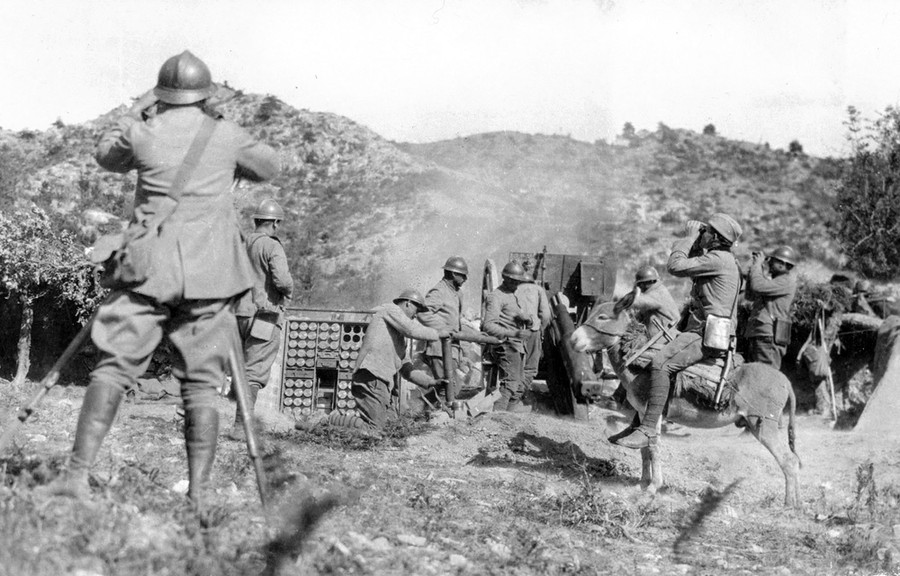 photo World War 1 Photos Animals In The War The Atlantic world war i in photos animals at war