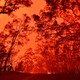 The red sky in Australia, a result of the wildfires.