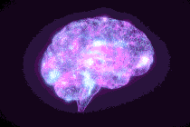Illustrated GIF of a glowing brain lighting up with purple and blue flashes.