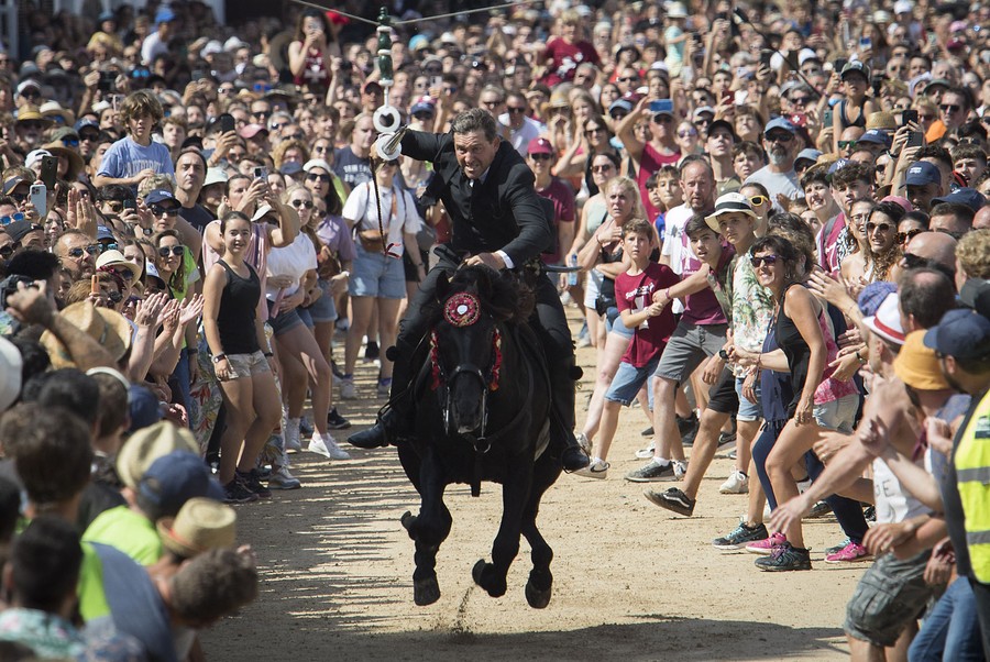 A rider on a horse gallops through a large crowd during a festival.