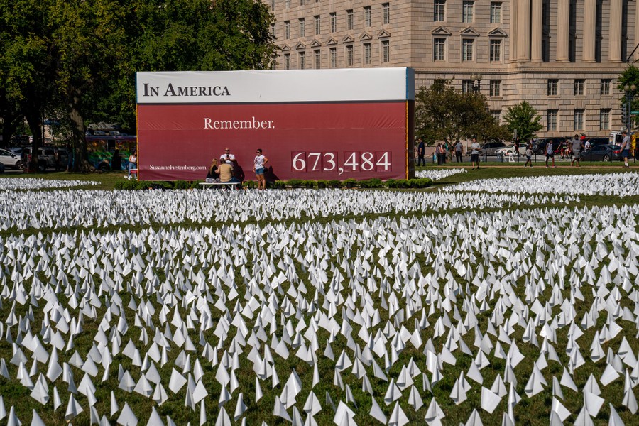 People stand near many small white flags, in front of a large sign that reads "In America: Remember. 673,484"