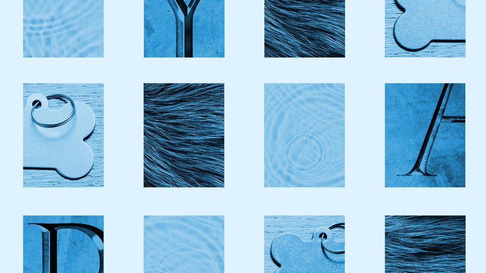 A grid of blue images showing fur, water, dog tags, and letters engraved as if on a tomb stone