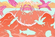 An illustration of sea animals cut out of a red tide