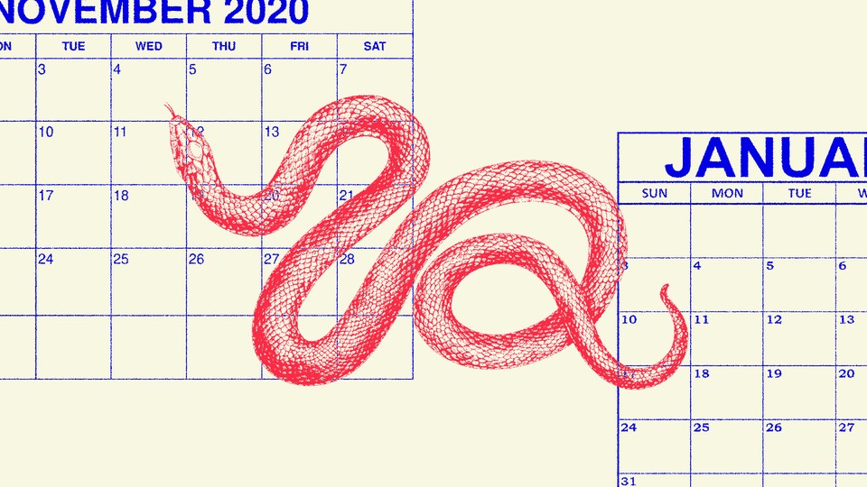 An illustration of a snake and the calendars for November 2020 and January 2021.