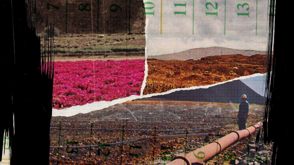 A colorful collage of various landscape with ripped paper and black ink