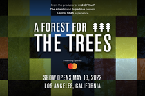 A Forest for the Trees