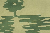 illustration of green tree casting long shadows