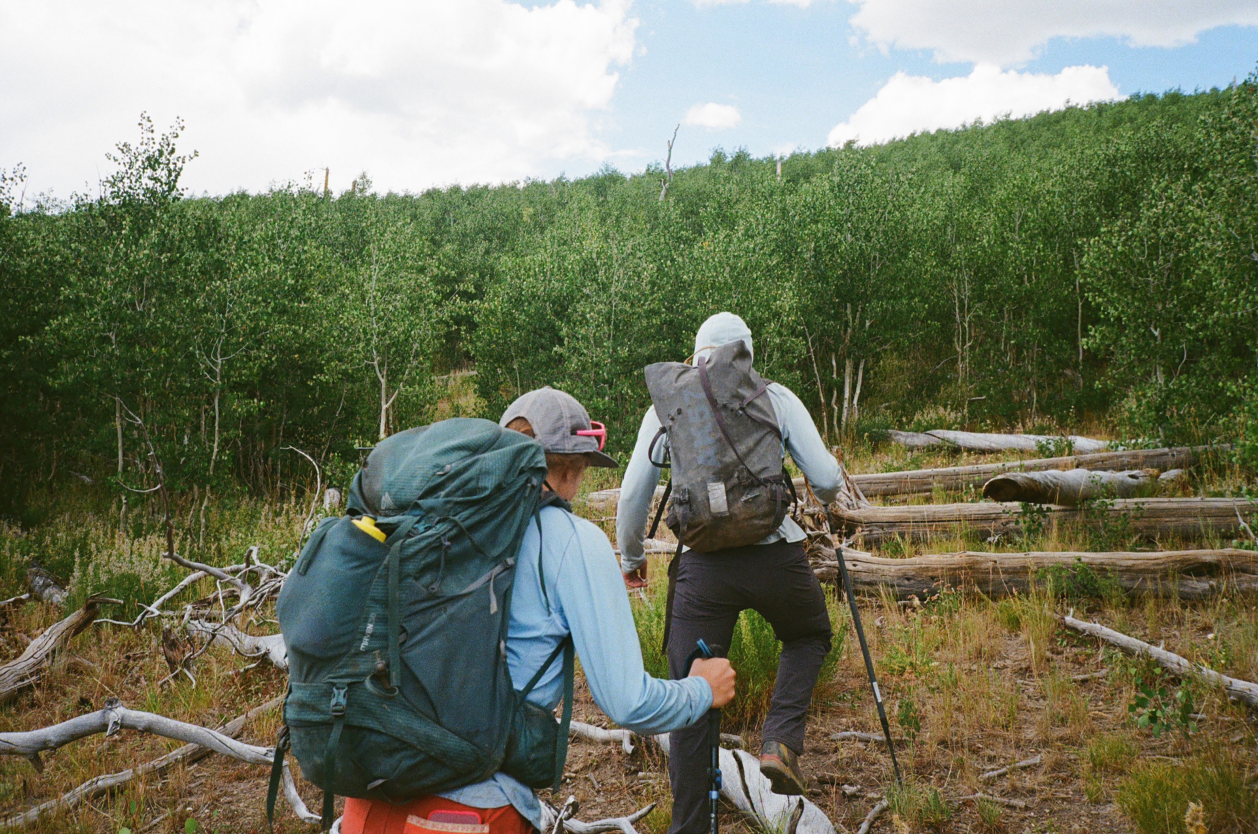 Two hikers in the woods