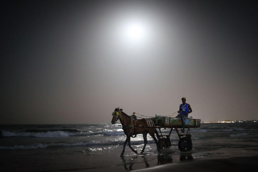 A person drives a single-horse cart through shallow water on a beach at night.