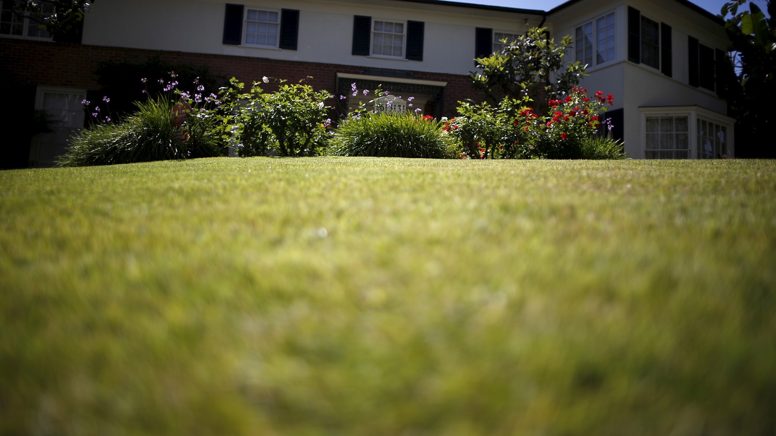 As U.S. Homes Grow, Lawns Are Shrinking - The Atlantic