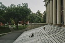 Side picture of the stairs that lead to building with greek columns in college campus.