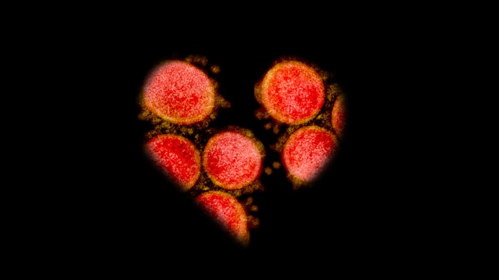 A cut out of a heart, with a pattern of the coronavirus visible behind it