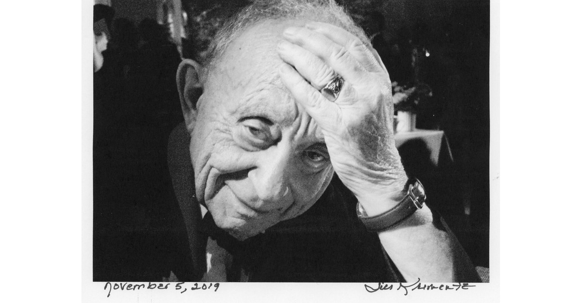 Frederick Wiseman At all times Made His Level