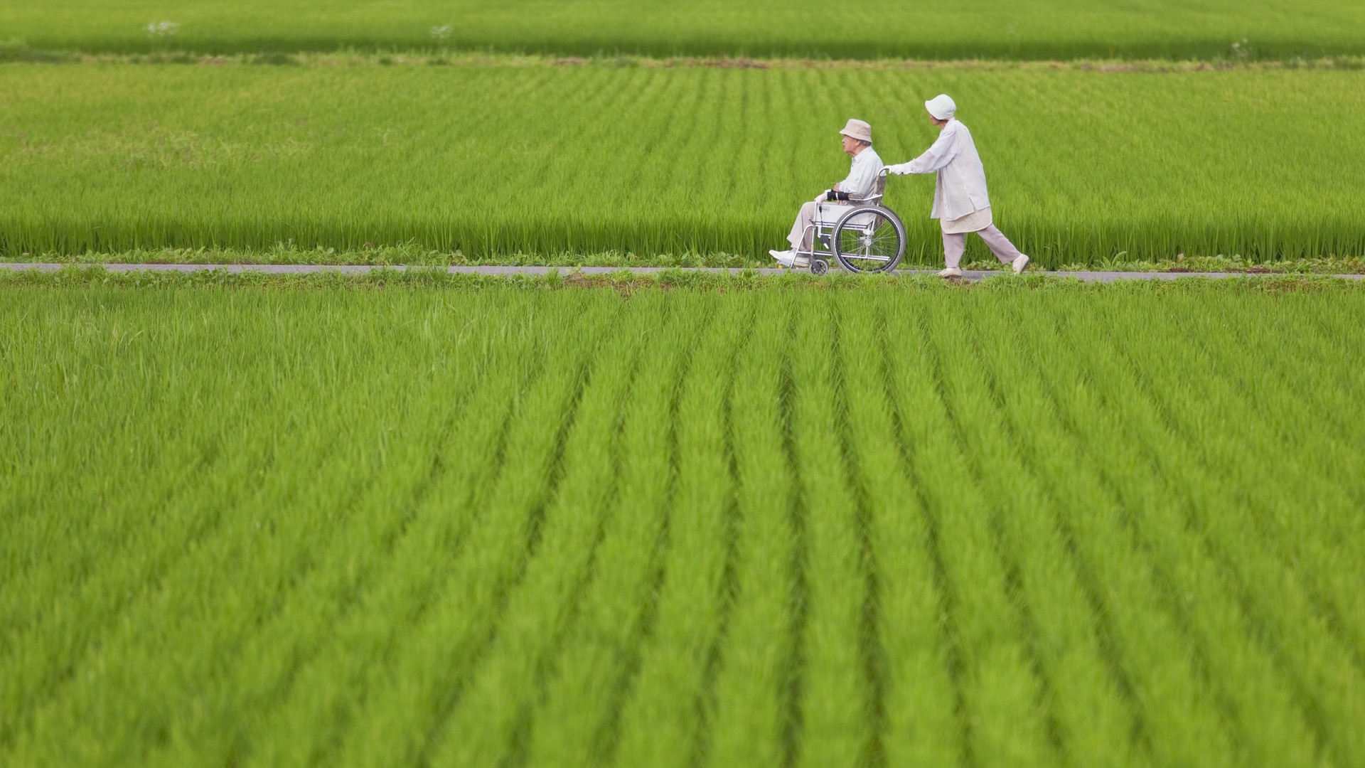 Japan's Rural Aging Population - The Atlantic