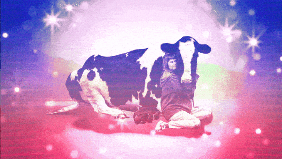 A woman hugging a cow with shining lights.