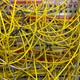 A tangle of ethernet cables