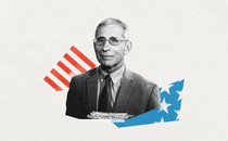 Anthony Fauci and fragments of the American flag