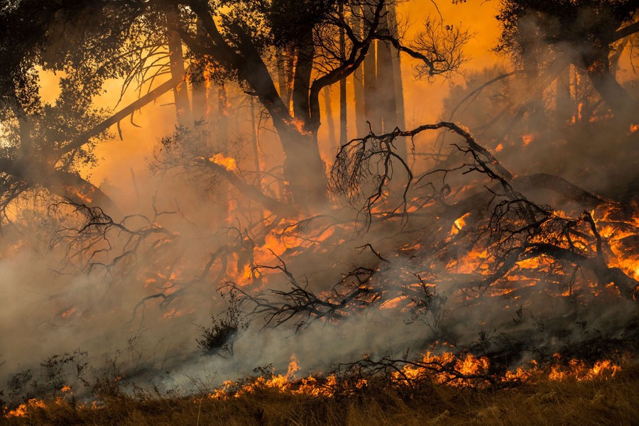 Photos: Embers Fly in California’s Wind-Driven Wildfires - The Atlantic