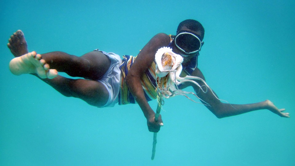 Hamissi Usi swims with an octopus on Pemba Island, Tanzania, in 2010.