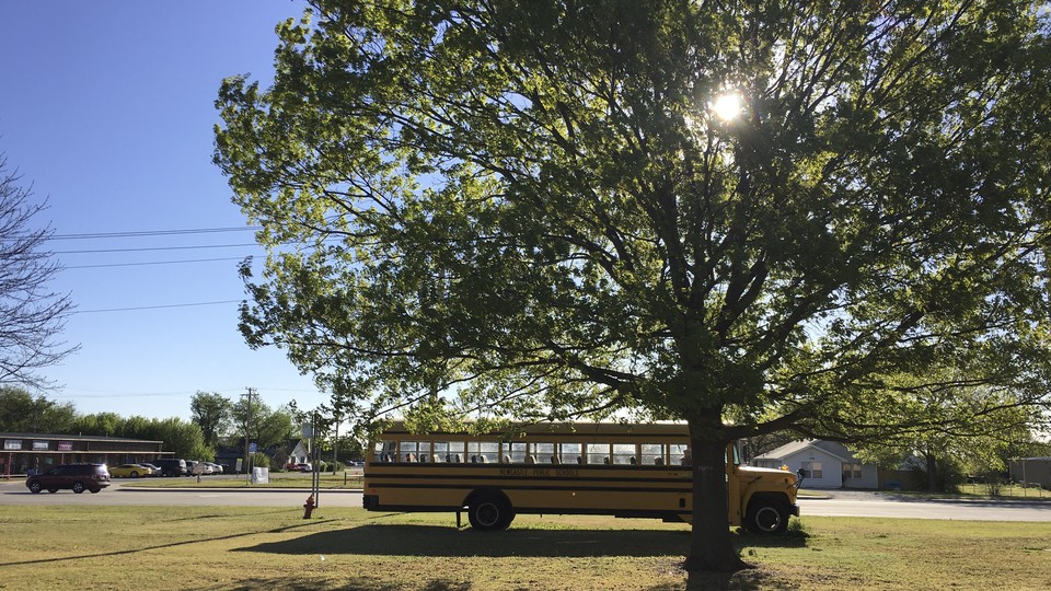 A school bus drives under a large tree.