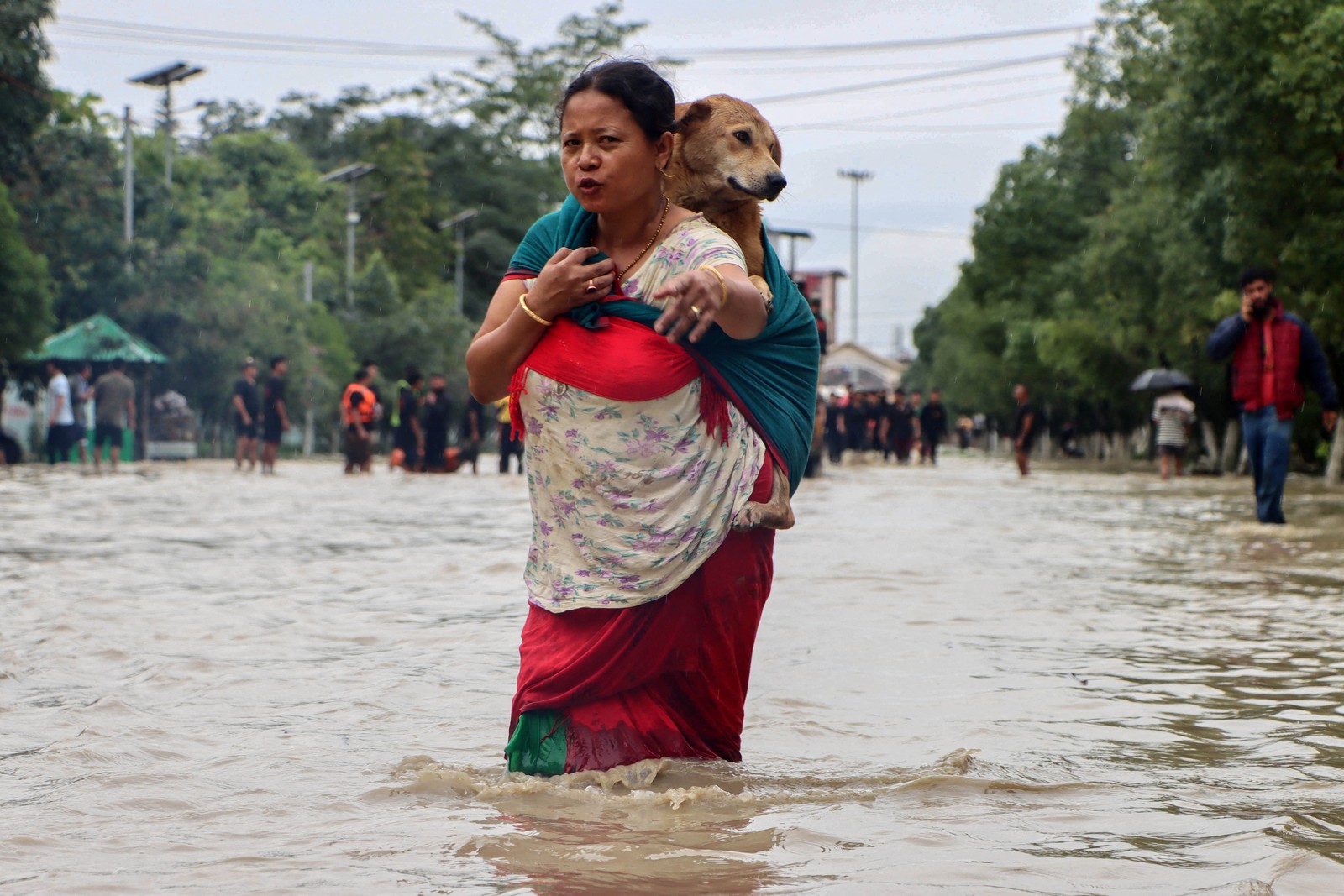 A woman carrying her pet dog wades through a flooded street.