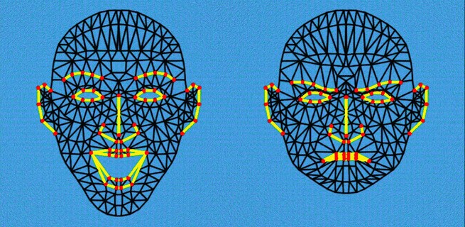 illustration of two faces