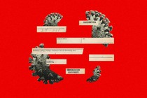 Covid-19 Disinformation