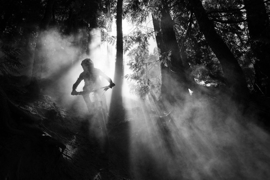 A mountain biker rides through a forest among clouds of dust.