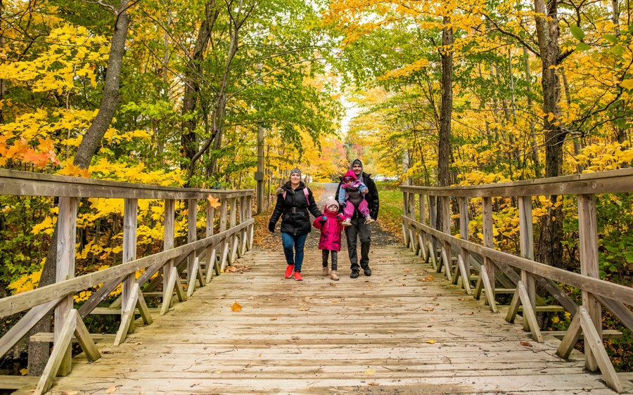 A family walks on a wooden bridge in a park.